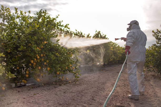 Best Affordable Exterminators  in Mitchell, SD