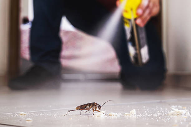 Best Affordable Pest Control Services  in Mitchell, SD