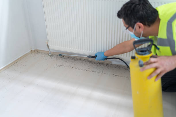 Best Mosquito Control Services  in Mitchell, SD