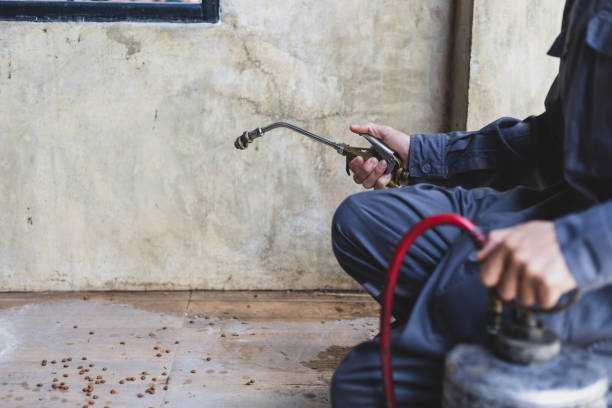 Best Pest Removal Services  in Mitchell, SD